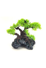 Komodo Komodo Bonsai Tree with Hide