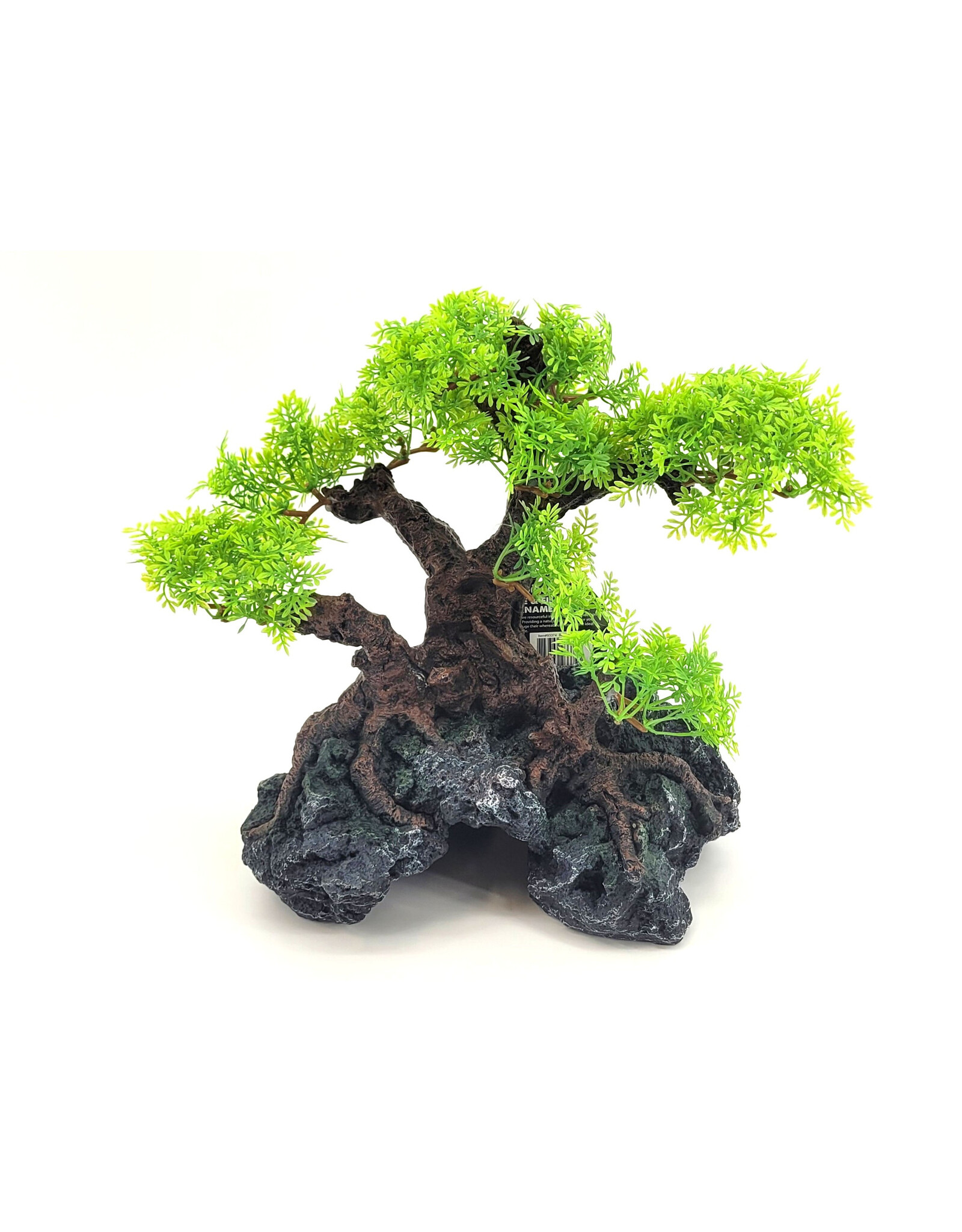 Komodo Komodo Bonsai Tree with Hide