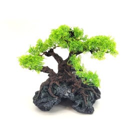 Komodo Komodo Bonsai Tree with Hide