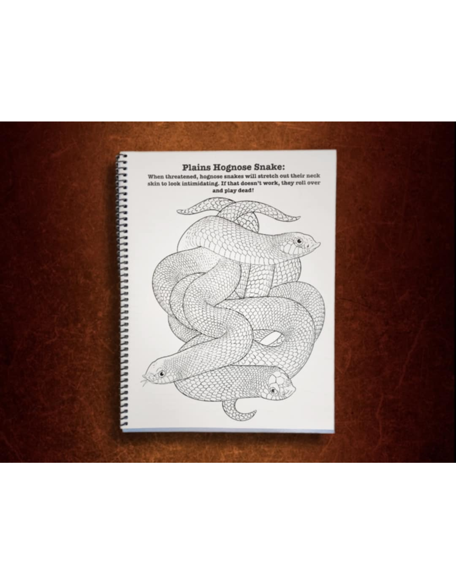 SD Coloring Book 3 Snake Discovery