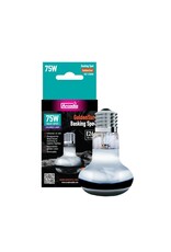 Arcadia Arcadia Golden Sun Basking Halogen Heat Lamp 75W