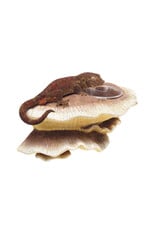 Zilla Zilla Vertical Mushroom