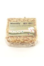 Mossify Mossify Premium Natural Sphagnum Moss 50g