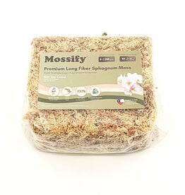 Mossify Mossify Premium Natural Sphagnum Moss 50g Mossify Mossify Premium Natural Sphagnum Moss 50g