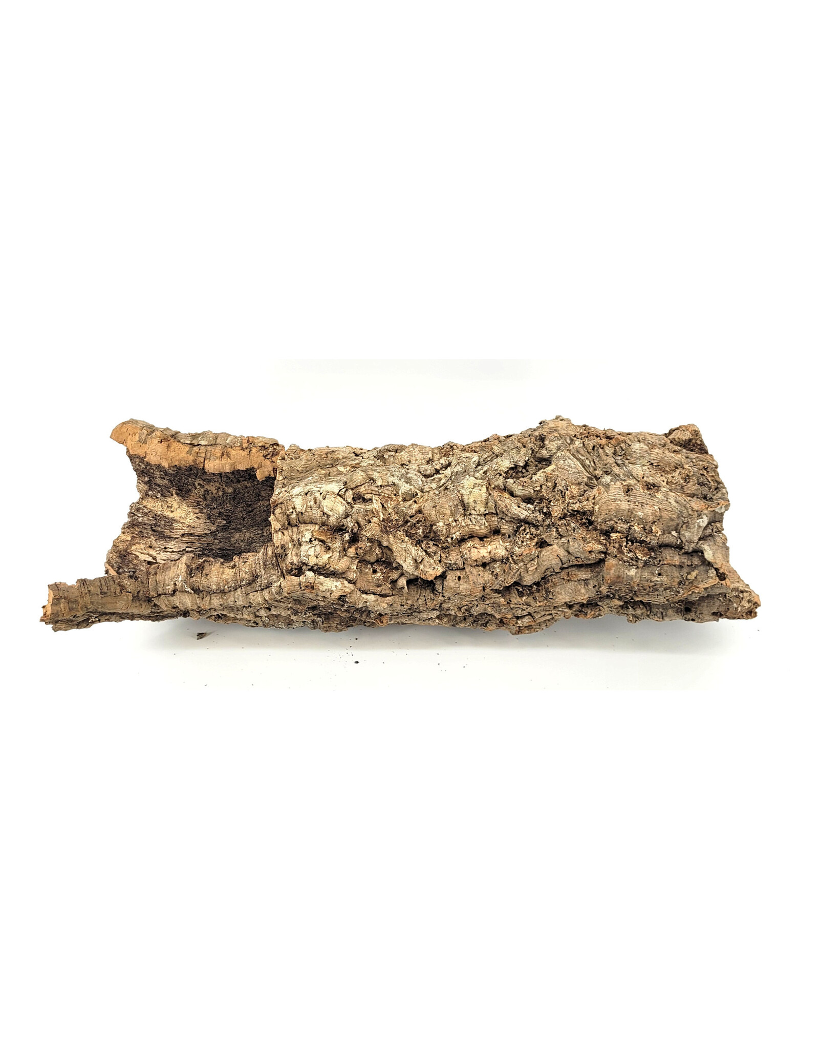 Cork Bark Rounds Medium ( L: 12"-16" W: Aprox. 6")