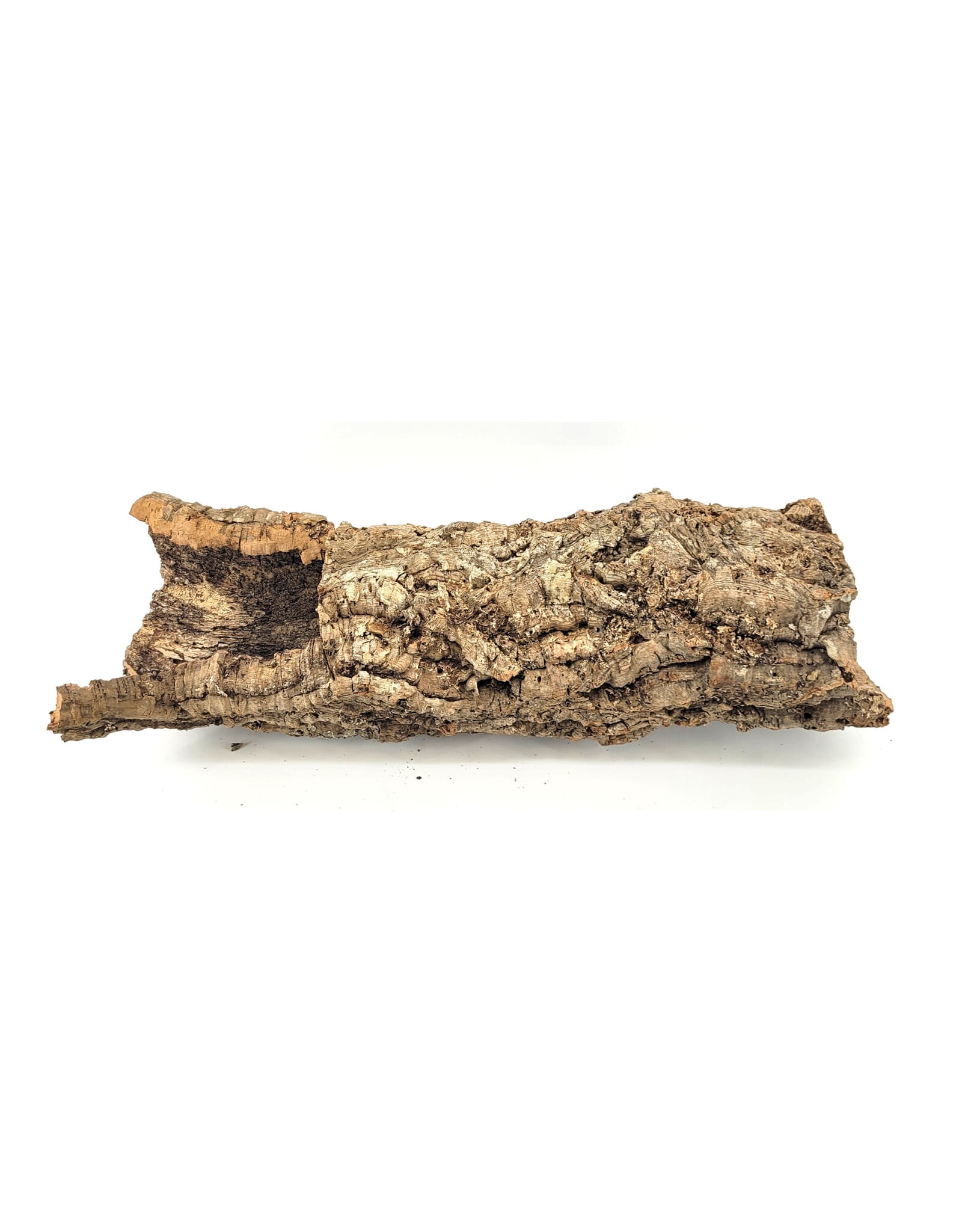 6 in Diameter Cork Bark Rounds Large (lenght 20"-24")