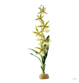 Exo Terra Exo Terra Spider Orchid