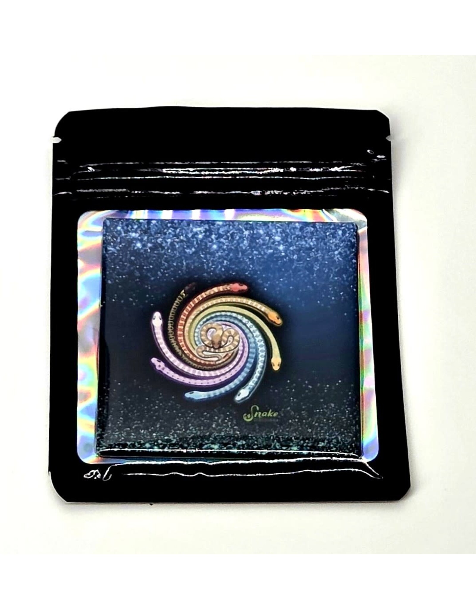 Snake Discovery Eeeveelutions Magnet