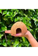 Coconut King SD Coconut Hide