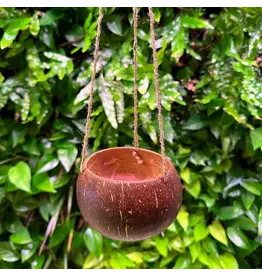 Coconut King SD Hanging Coconut Planter