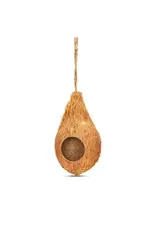 Coconut King SD Hanging Coconut Hide