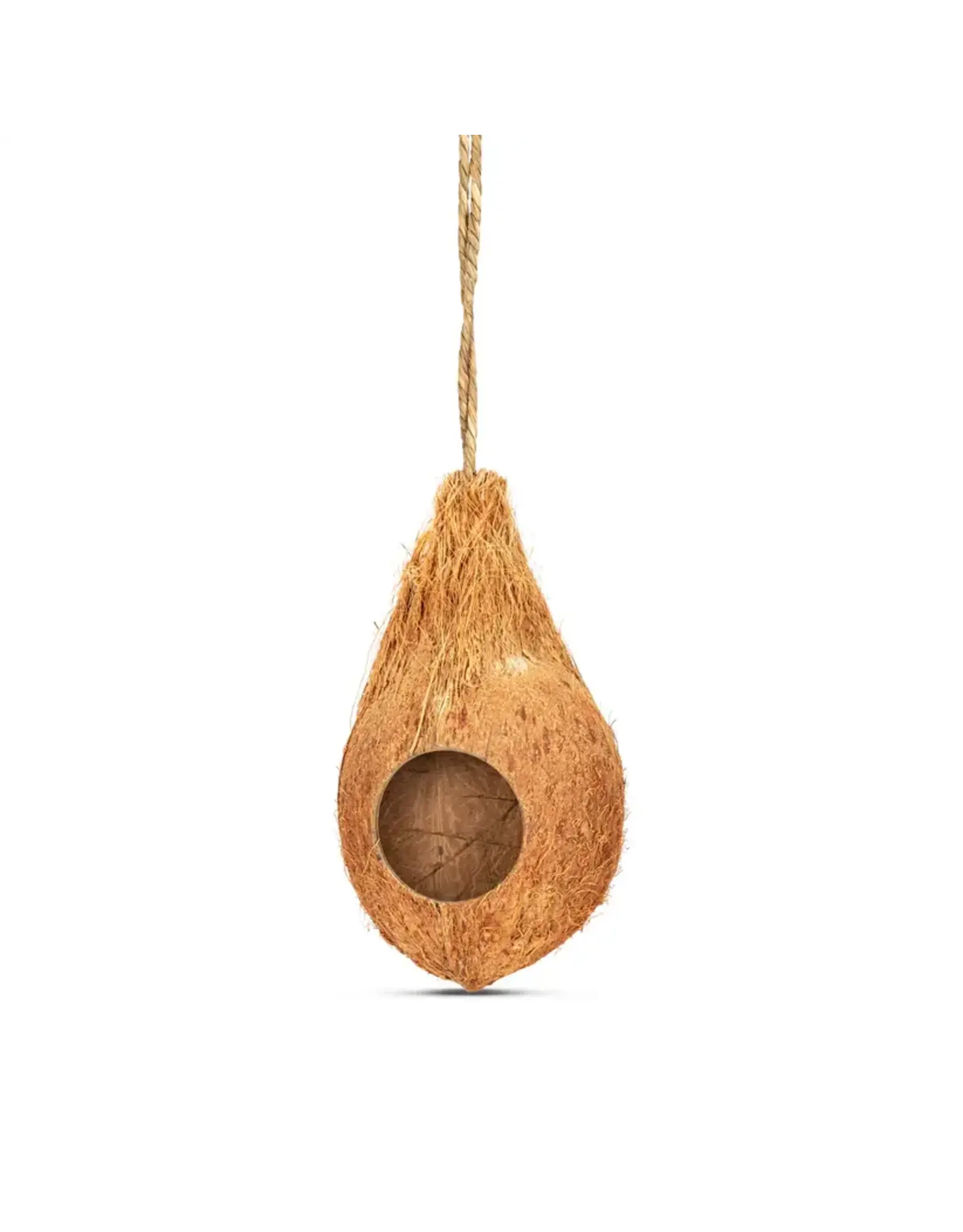Coconut King SD Hanging Coconut Hide