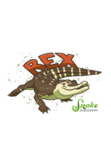 Snake Discovery SD Magnet Red Rex