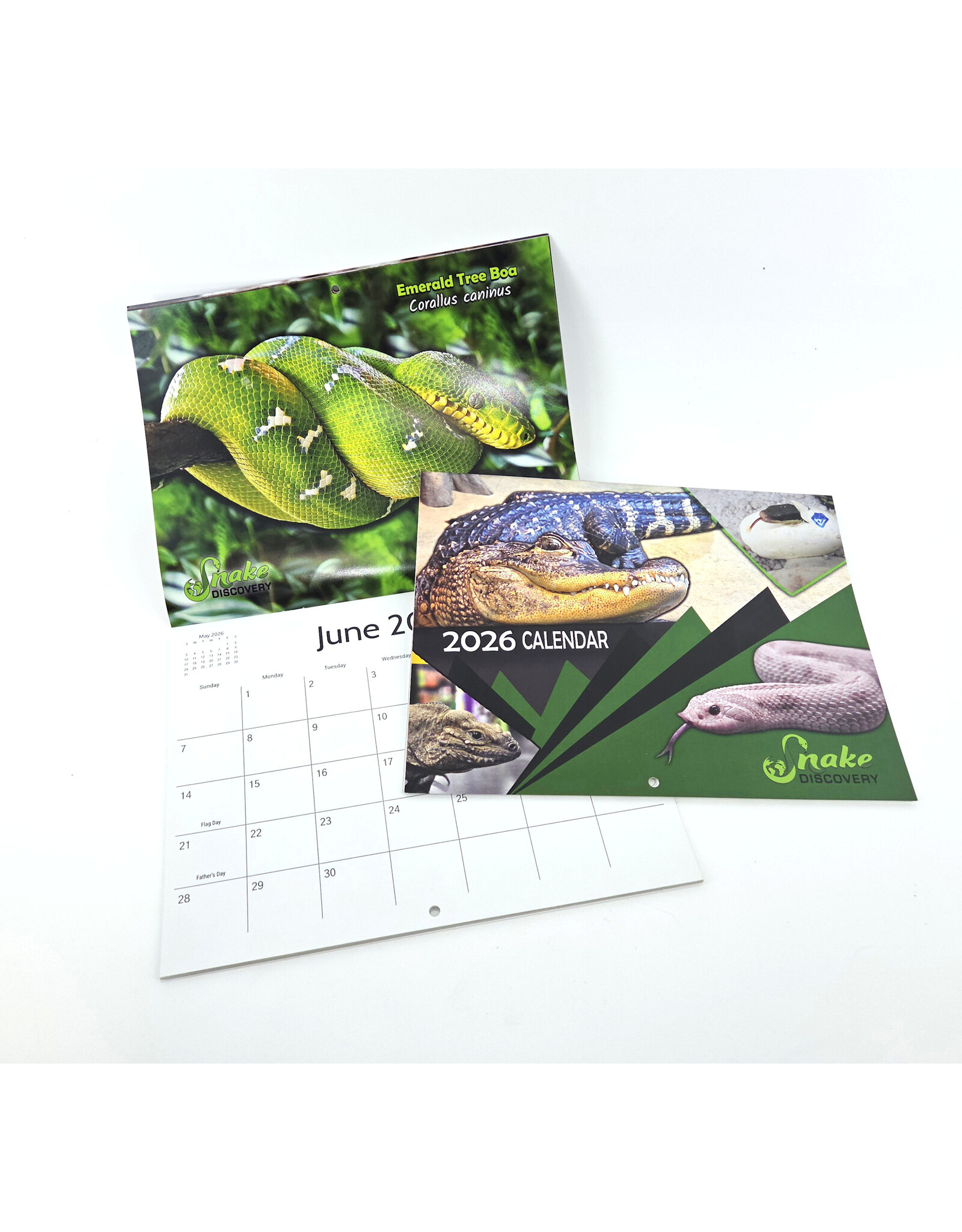 Snake Discovery 2026 Calendar