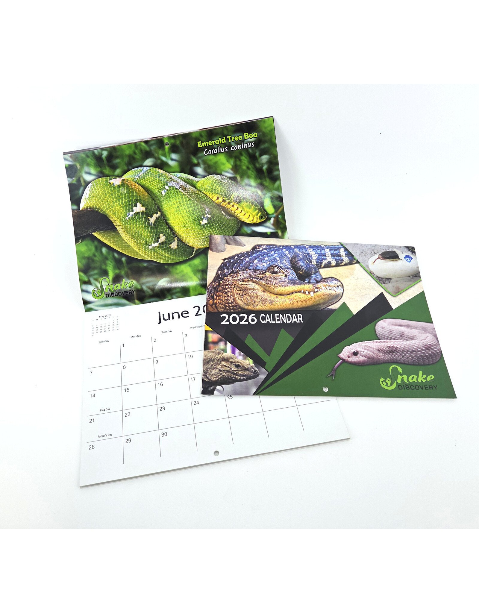 Snake Discovery Snake Discovery 2026 Calendar