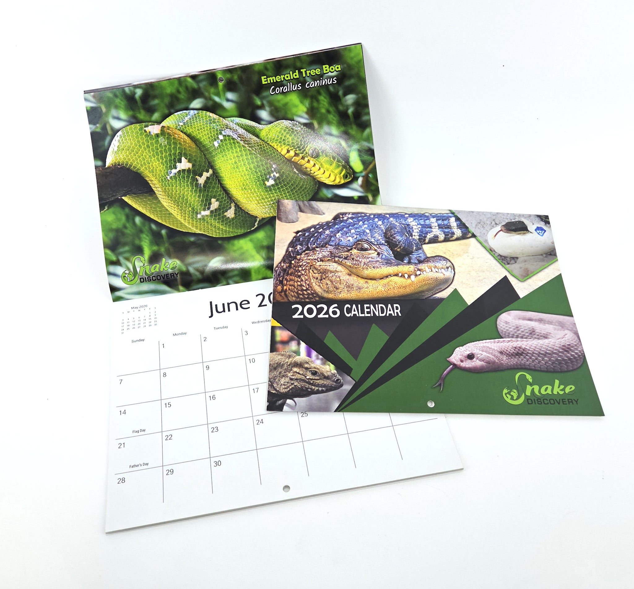 Photo inspiration: Snake Meals Calendar Reference: Snake Discovery 2026 Calendar