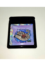 Snake Discovery SD Magnet Heck Off Hognose Premium