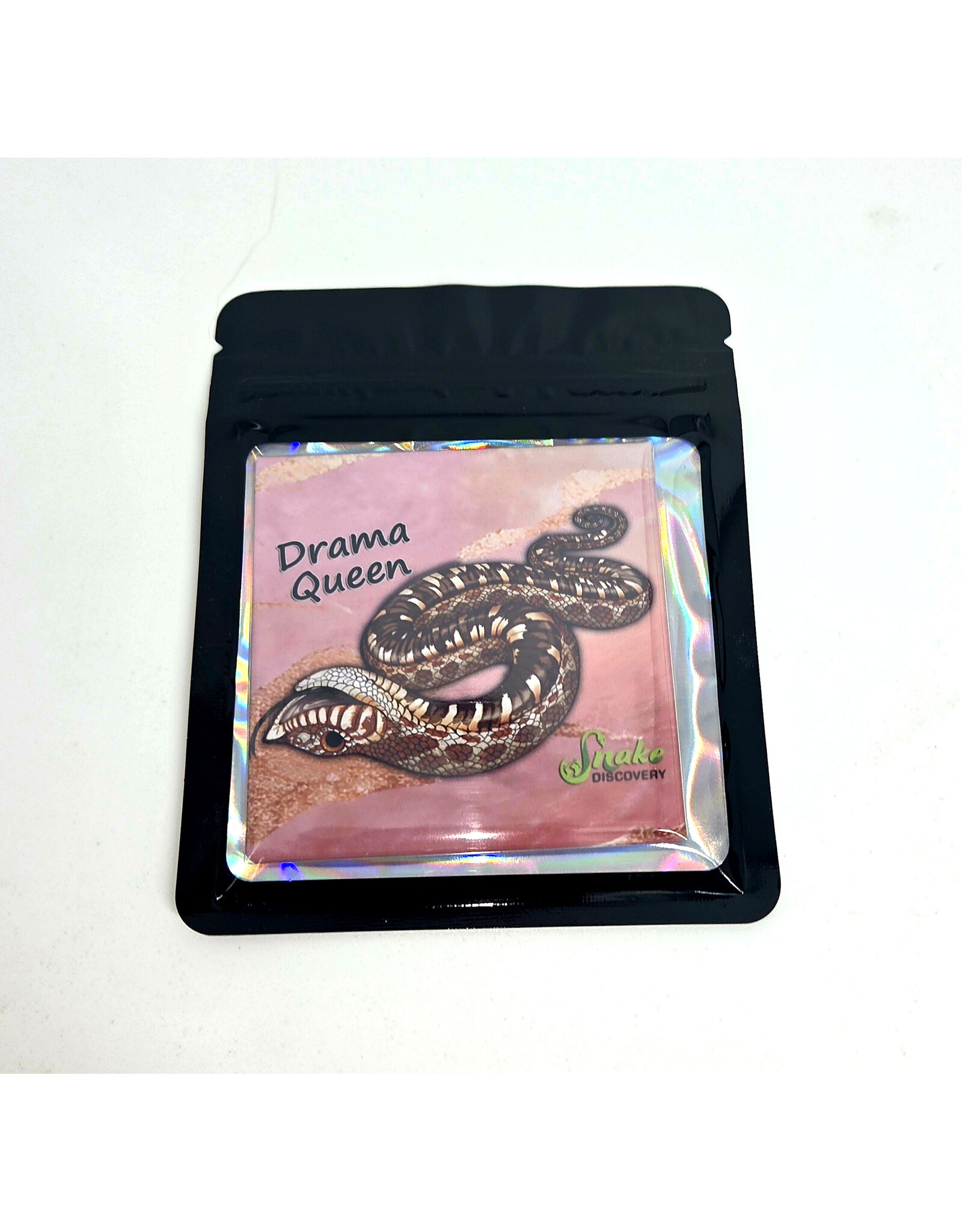 Snake Discovery SD Magnet Drama Queen Premium