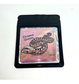 Snake Discovery SD Magnet Drama Queen Premium Snake Discovery SD Magnet Drama Queen Premium