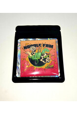 Snake Discovery SD Magnet Noodle Fam Premium Snake Discovery SD Magnet Noodle Fam Premium