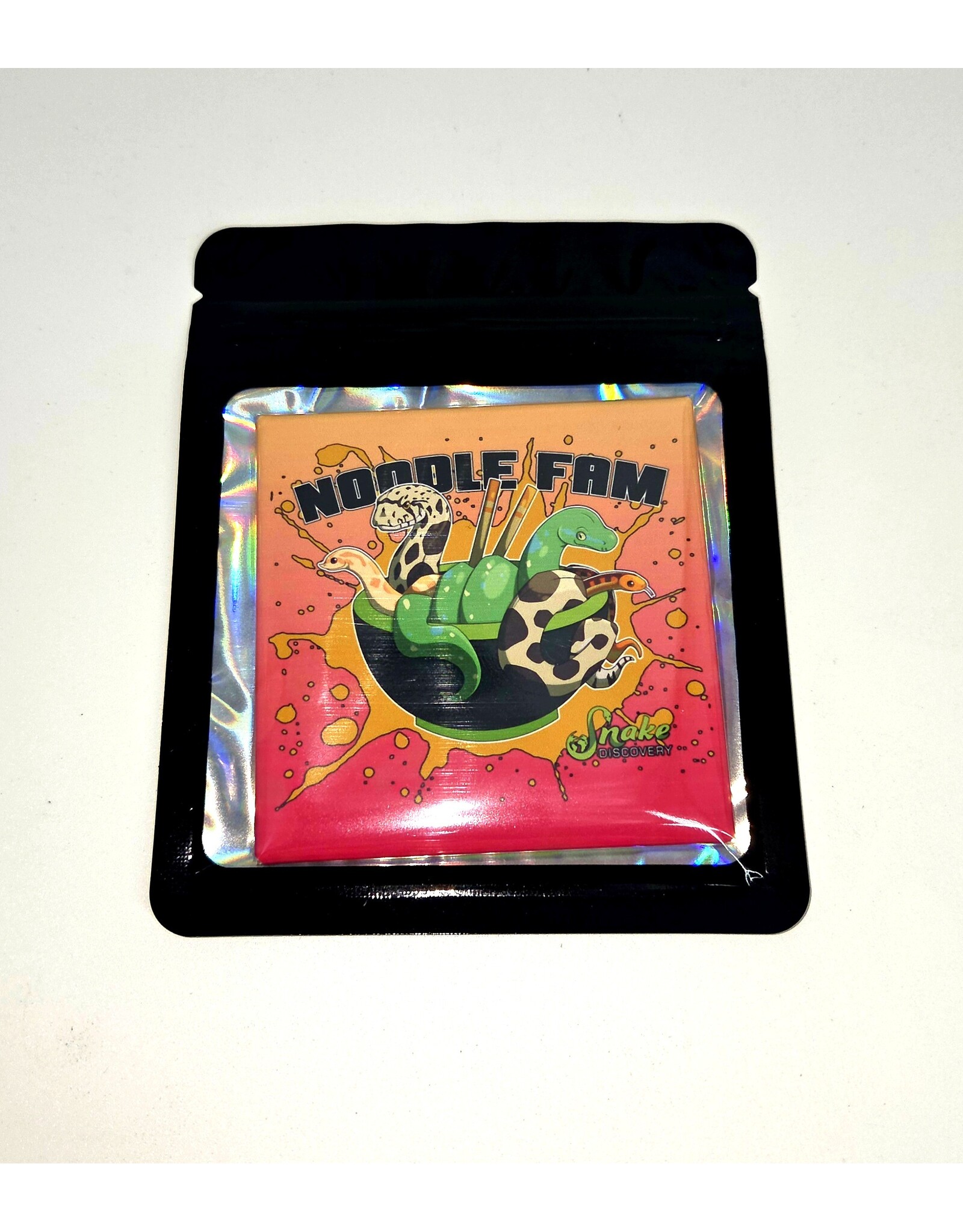 Snake Discovery SD Magnet Noodle Fam Premium