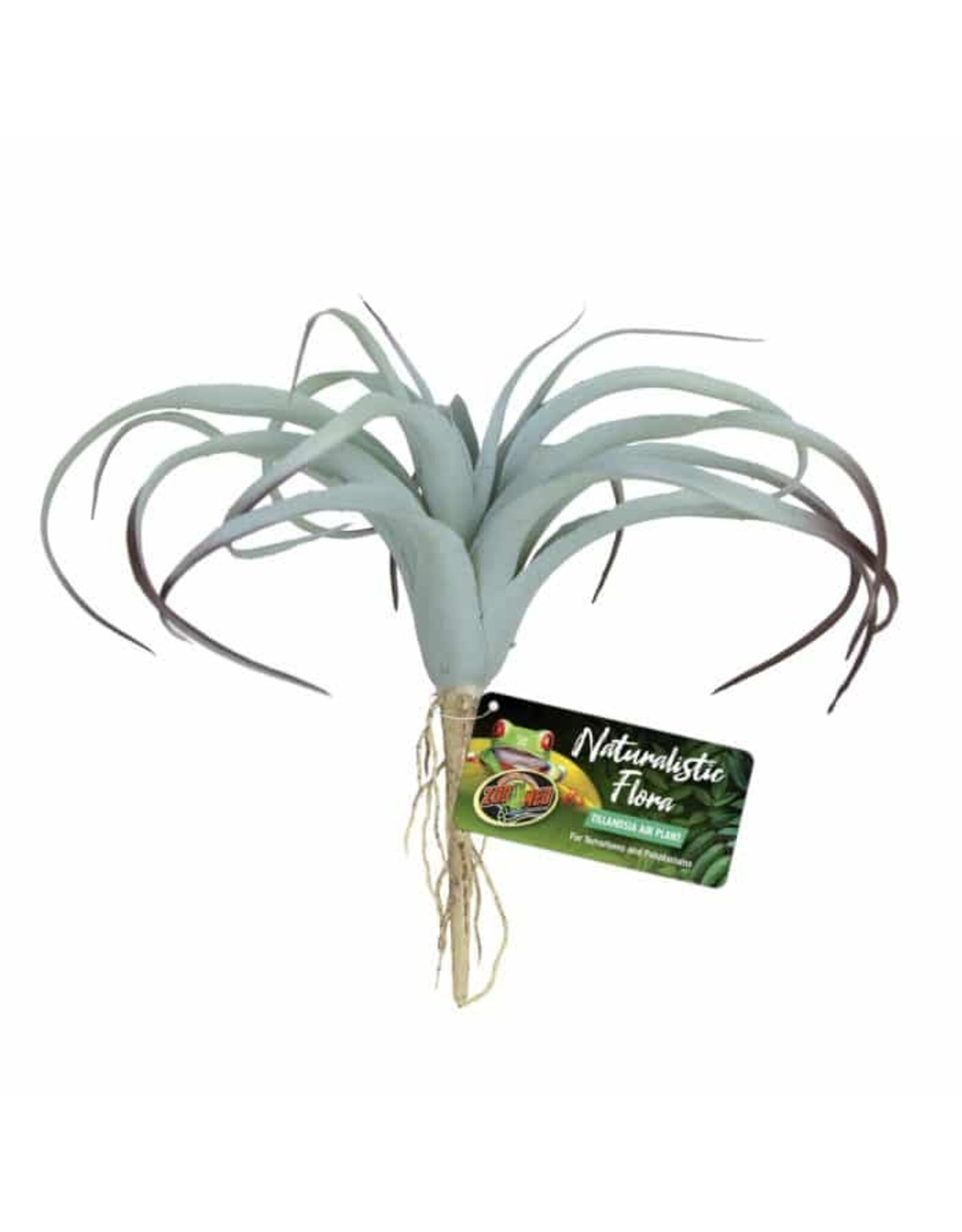 Zoo Med Zoo Med Tillandsia Air Plant