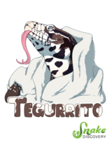 Snake Discovery SD Magnet Tegurrito
