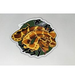 Snake Discovery SD Magnet Born Sassy