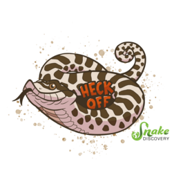 Snake Discovery SD Magnet Heck Off Hognose