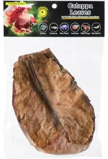 Galapagos Pet Galapagos Catappa Leaf Litter 10ct