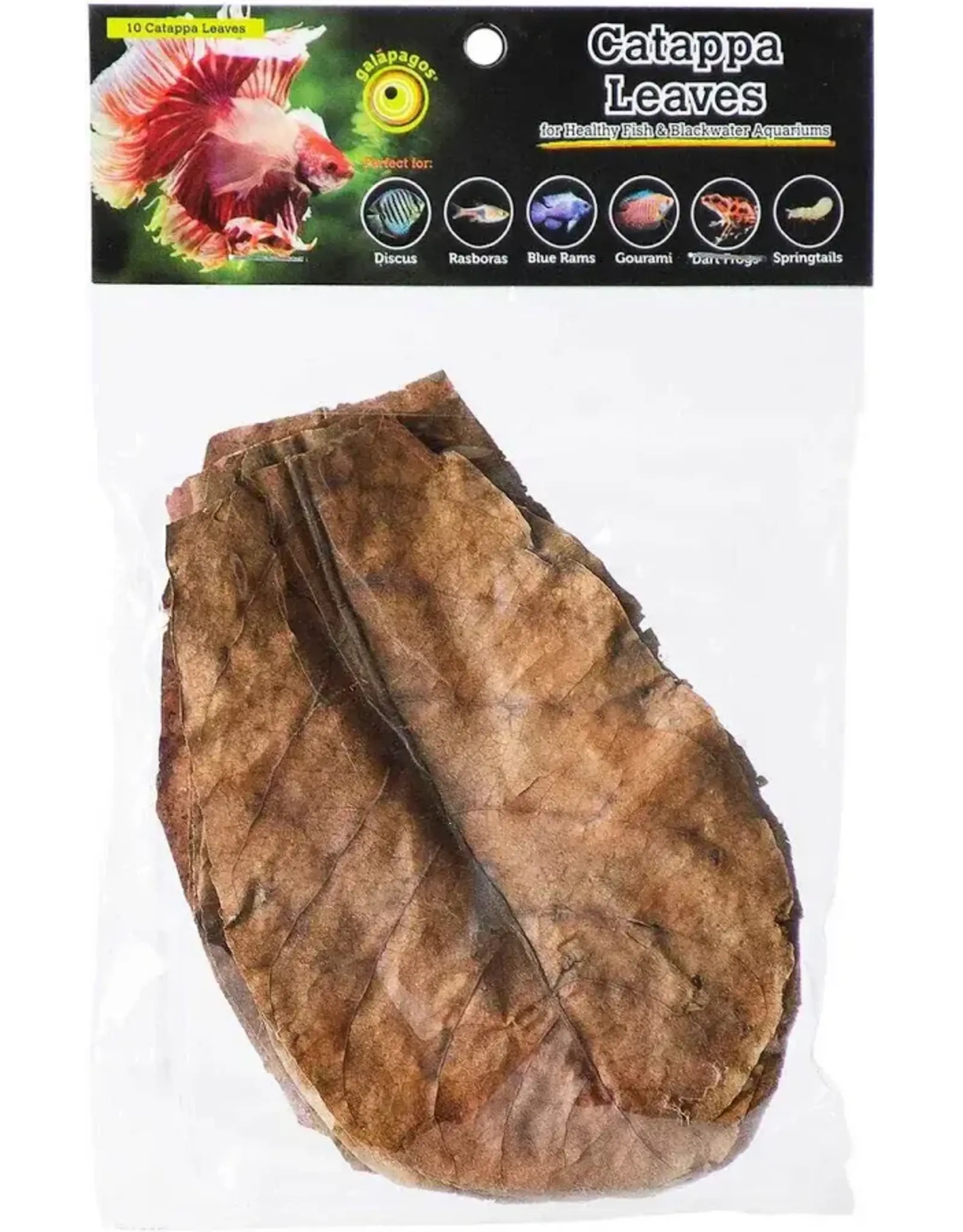 Galapagos Pet Galapagos Catappa Leaf Litter 10ct