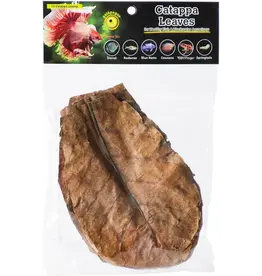 Galapagos Pet Galapagos Catappa Leaf Litter 10ct