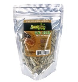 Vivariums in the Mist Vivariums in the Mist Iso Grub 1oz