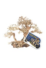Zoo Med Zoo Med Dragon Bonsai Tree Medium