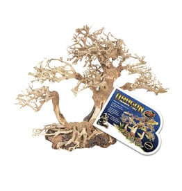 Zoo Med Zoo Med Dragon Bonsai Tree Medium