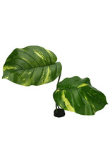 Komodo Komodo Guiana Plant Jumbo 24"(UPC 2027)