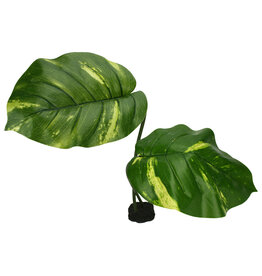 Komodo Komodo Guiana Plant Jumbo 24"(UPC 2027)