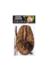 Galapagos Pet Galapagos Bioactive Botanicals Starter Kit