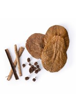 Galapagos Pet Galapagos Bioactive Botanicals Starter Kit