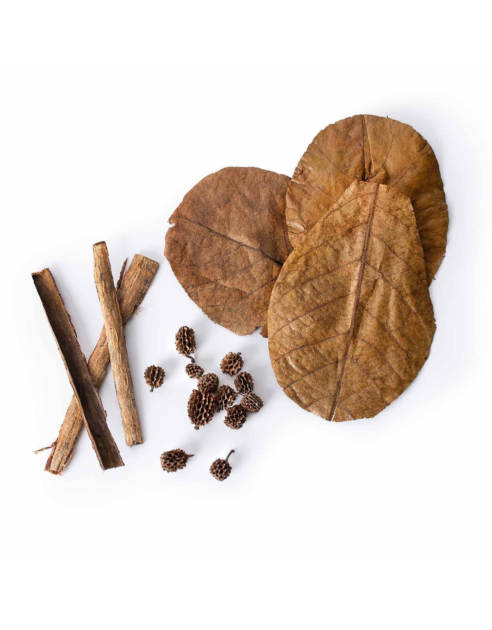 Galapagos Pet Galapagos Bioactive Botanicals Starter Kit