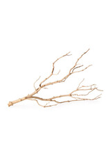 Galapagos Pet Galapagos Staghorn Branch 13-18"**