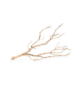 Galapagos Pet Galapagos Staghorn Branch 13-18"**