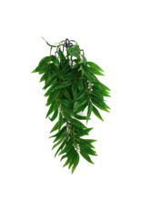 Komodo Komodo Bamboo Climbing Plant 16"