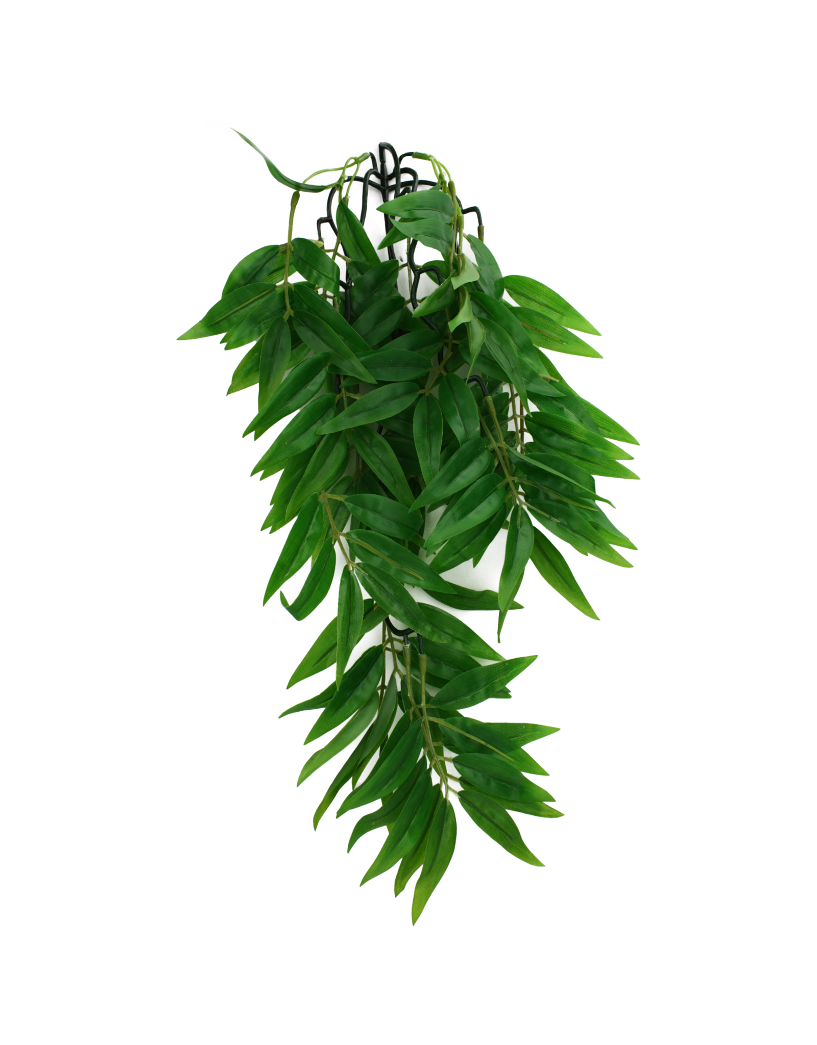 Komodo Komodo Bamboo Climbing Plant 16"
