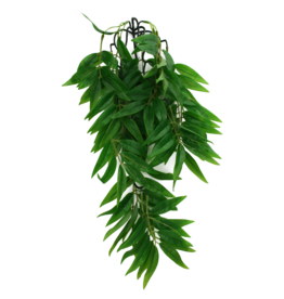 Komodo Komodo Bamboo Climbing Plant 16"