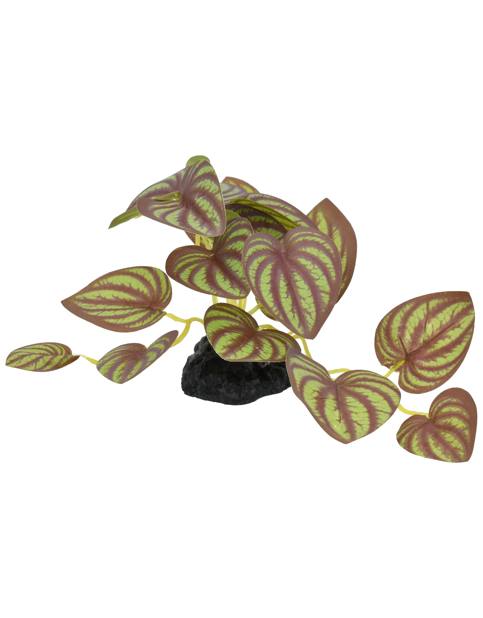 Komodo Komodo Standing Zebrina Plant 3.5" (UPC 3765)