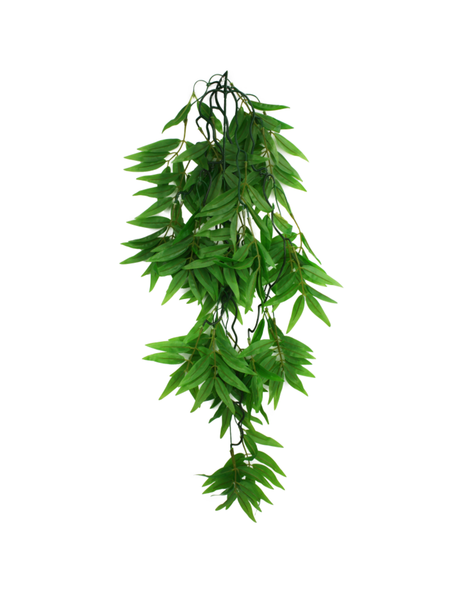 Komodo Komodo Bamboo Climbing Plant 26"