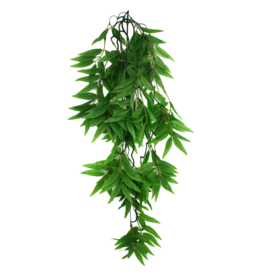 Komodo Komodo Bamboo Climbing Plant 26"