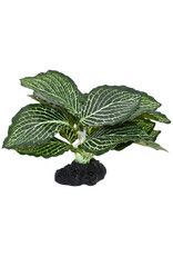 Komodo Komodo Standing Vein Plant 4" (UPC  3826)
