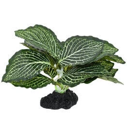 Komodo Komodo Standing Vein Plant 4"